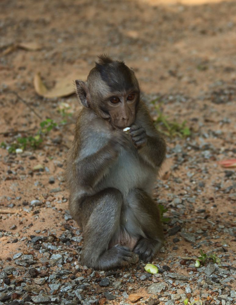 Photograph by Елена Рудкевич