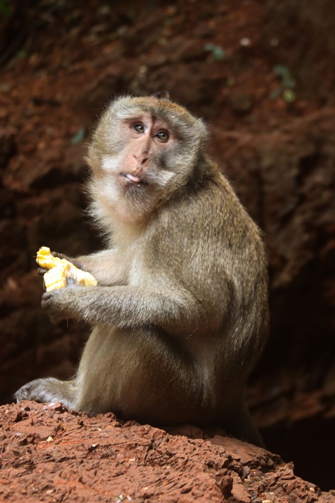 Photograph by Елена Рудкевич