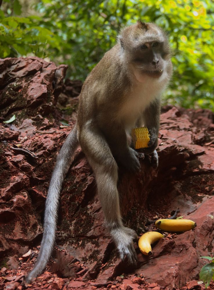 Photograph by Елена Рудкевич