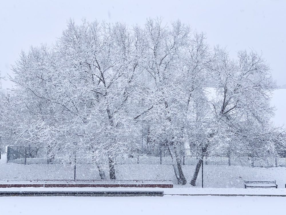 Photograph by Ионова Татьяна