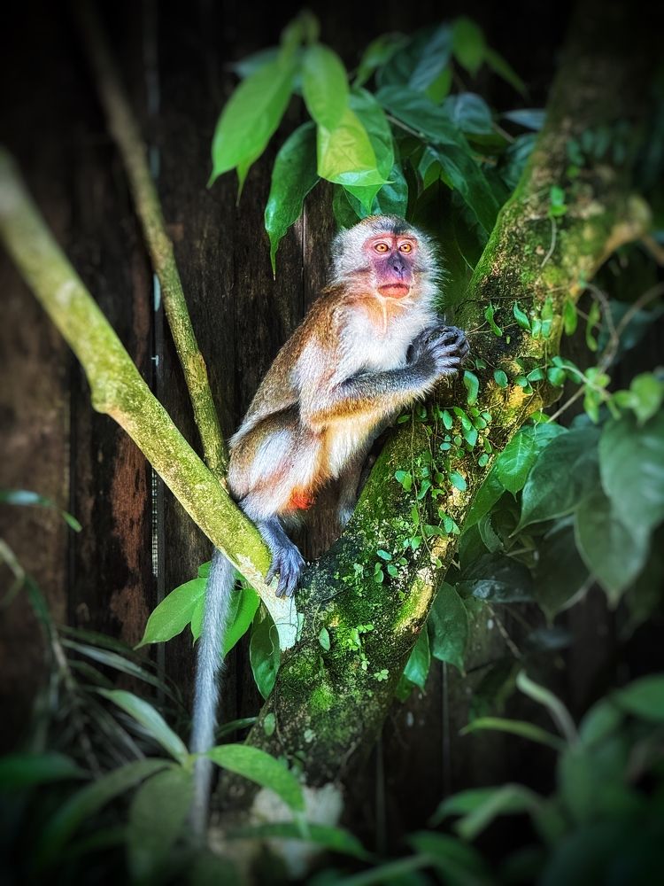 Photograph by Юлия