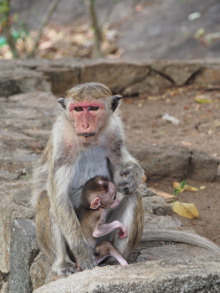 Photograph by Ольга Лысенко