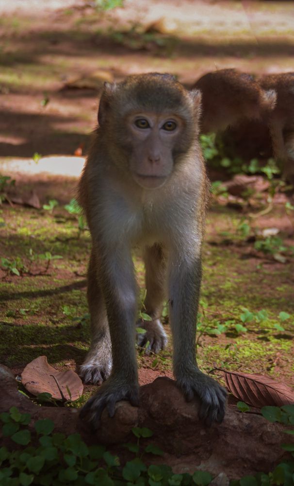 Photograph by Елена Рудкевич