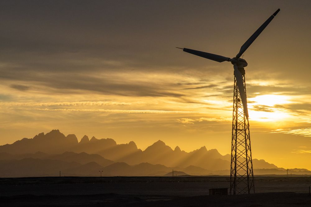 Фотография автора алексей