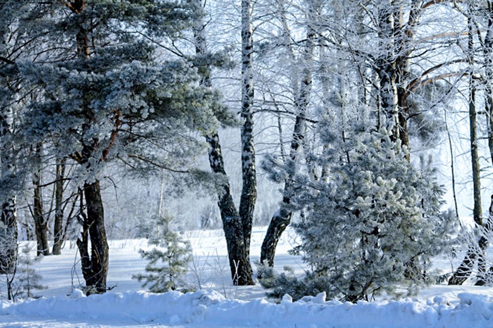 Photograph by Людмила Павловна