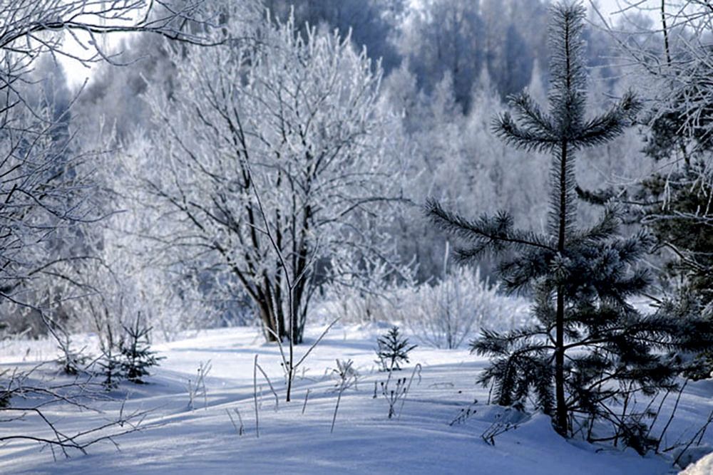 Photograph by Людмила Павловна