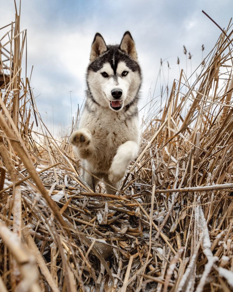 Photograph by Алексей Кашин