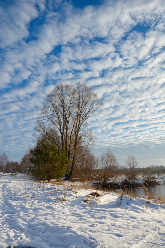 Фотография автора Наталья Бачуринская