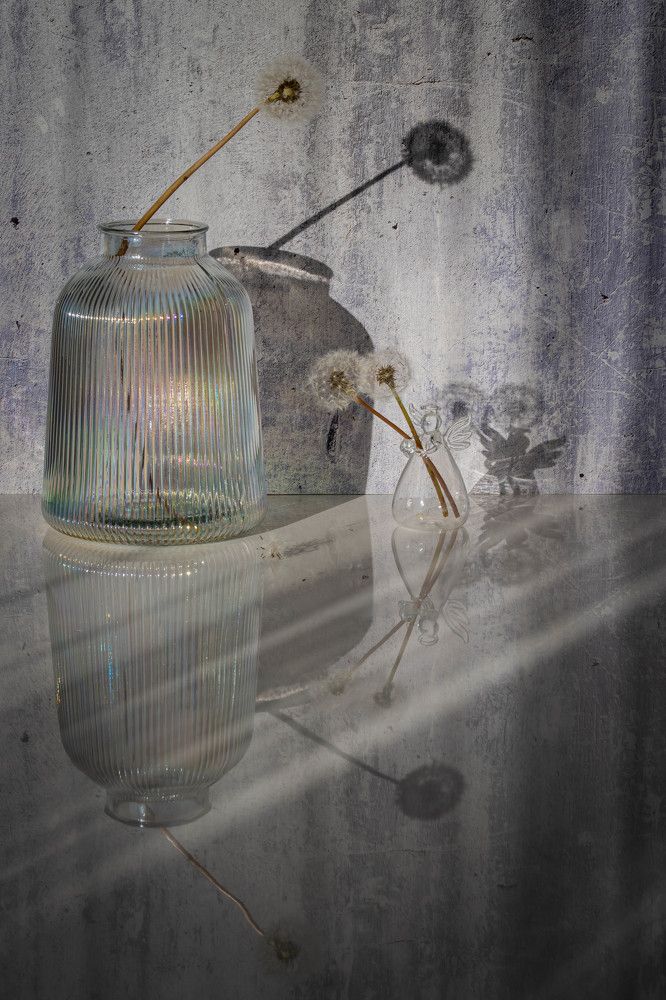 Фотография автора Оксана Белозерская