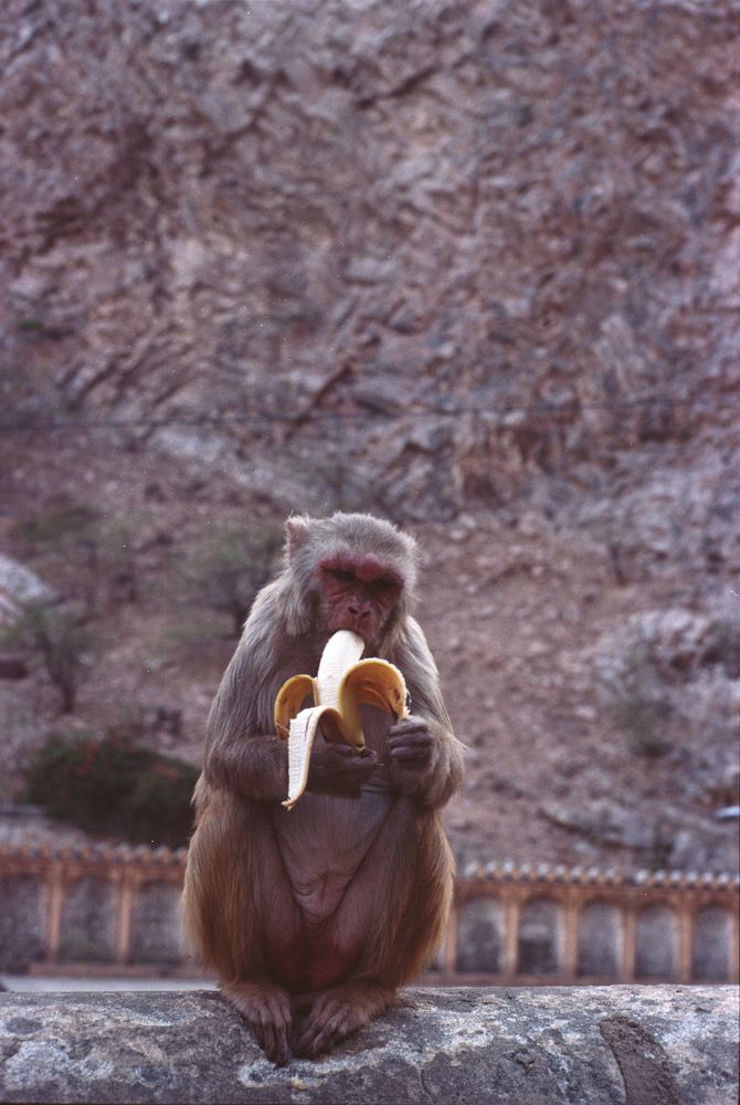 Photograph by Александр Карпов