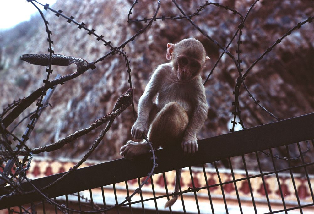 Photograph by Александр Карпов