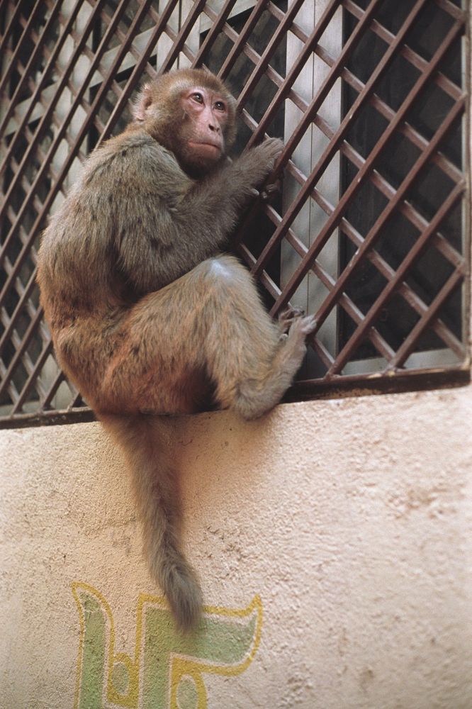 Photograph by Александр Карпов