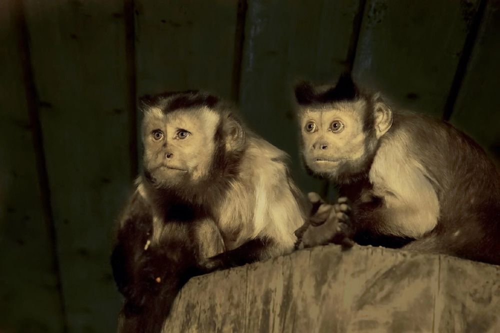 Photograph by Клясюк Галина