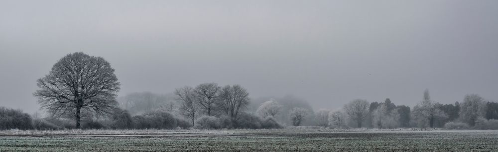 Photograph by Vitalii Kaznin