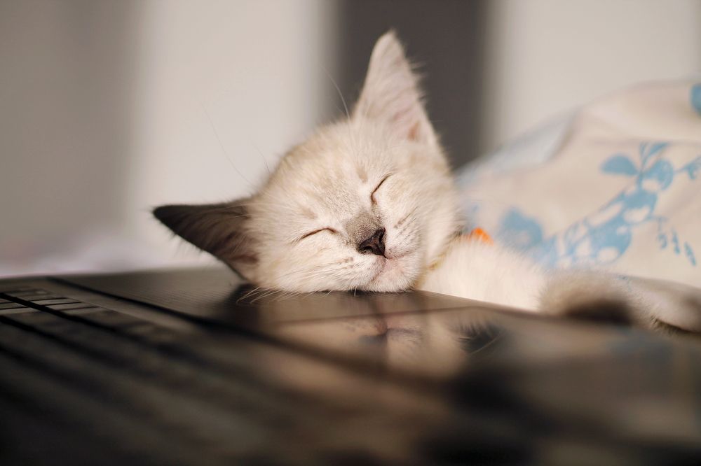 Photograph by Вальтер Кристина