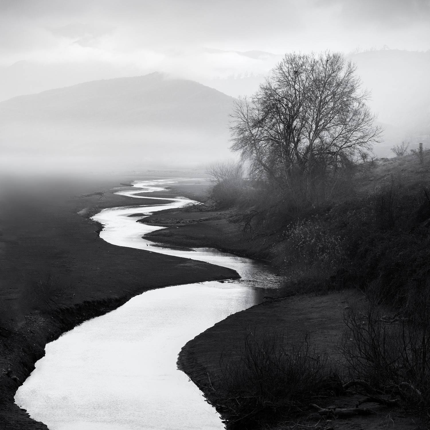 Фотография #11720596