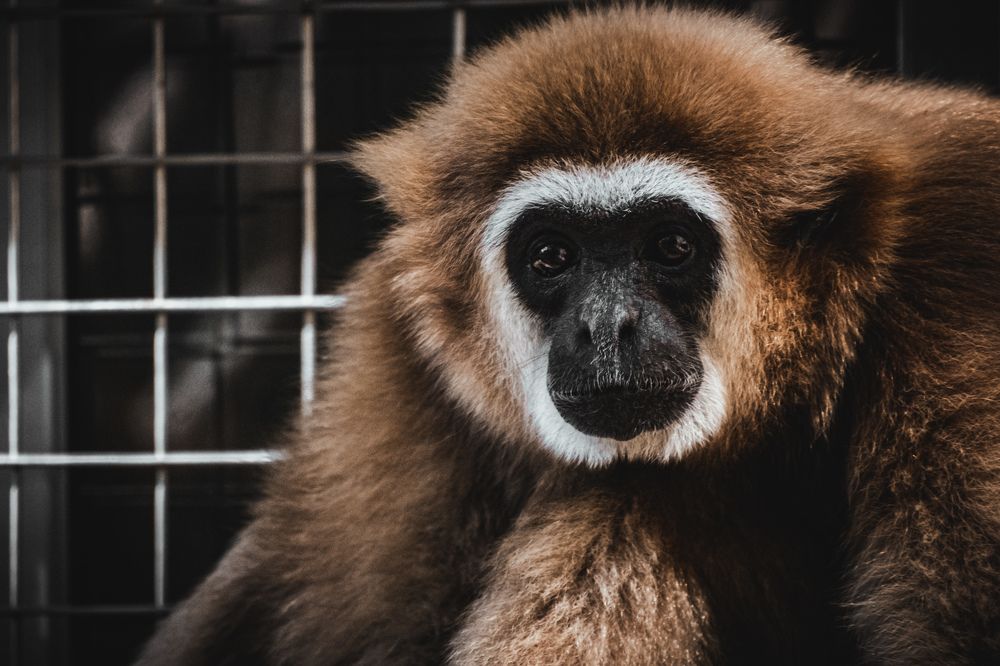 Photograph by Дулова Анастасия