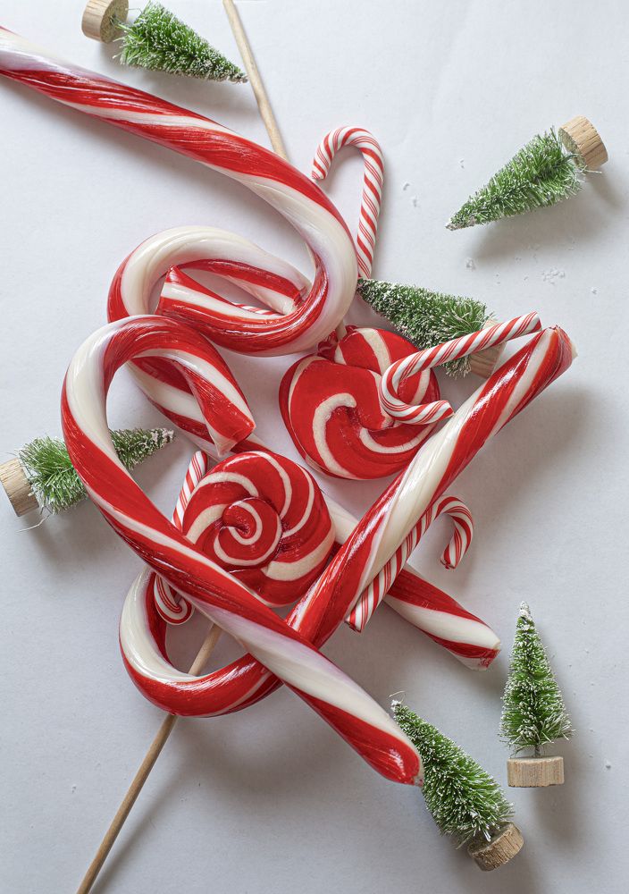 Фотография автора Татьяна Пирогова