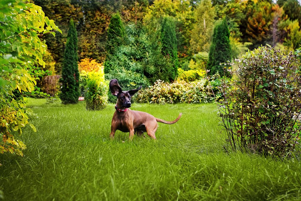 Photograph by Лебедева Ольга