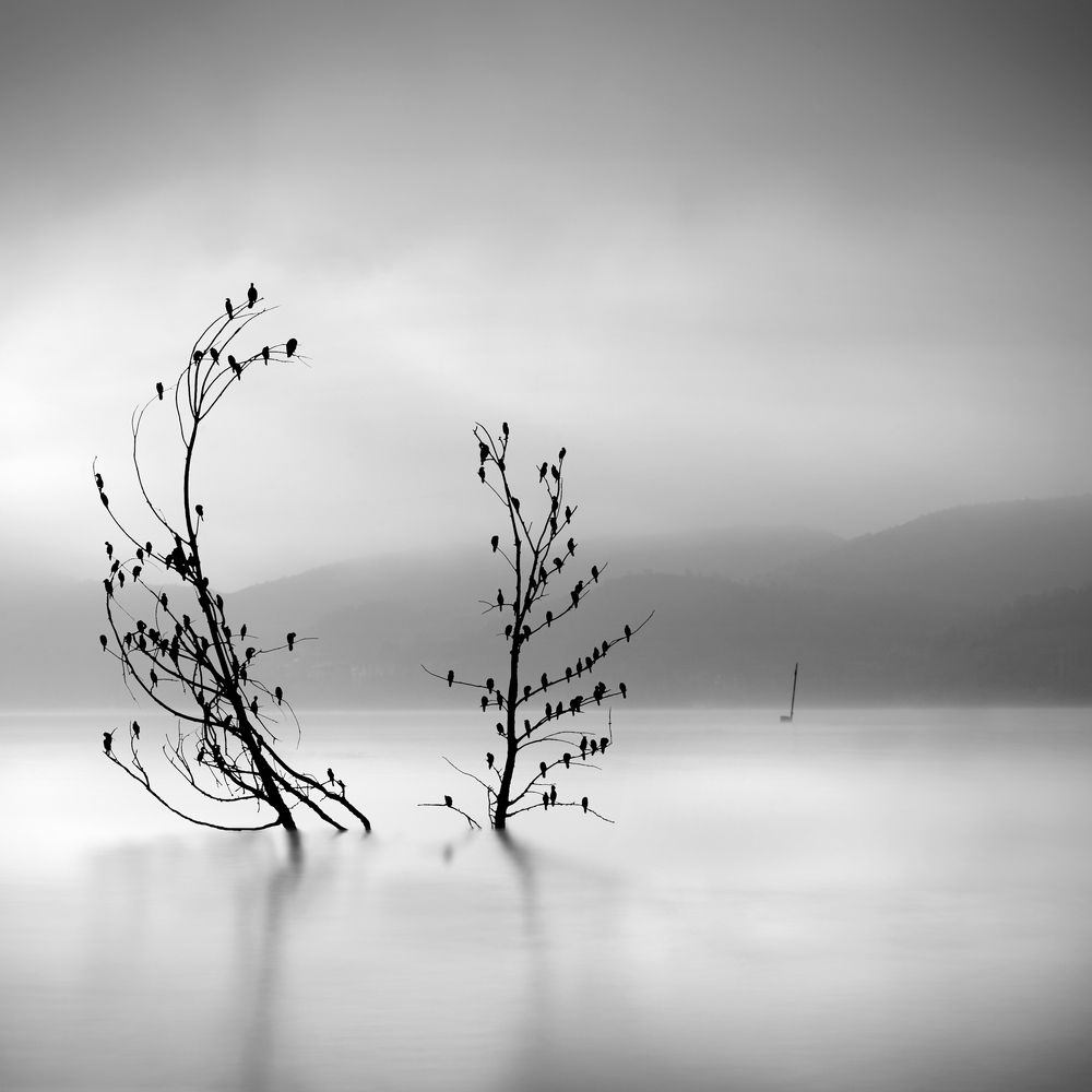 Photograph by Georgios Digalakis