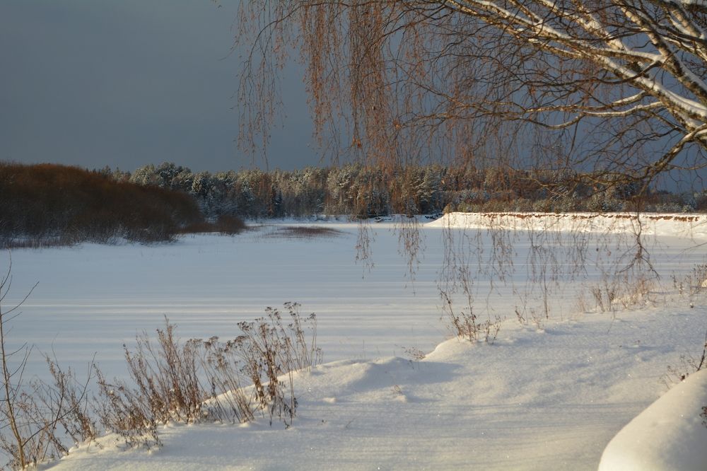 Photograph by София Бояринцева