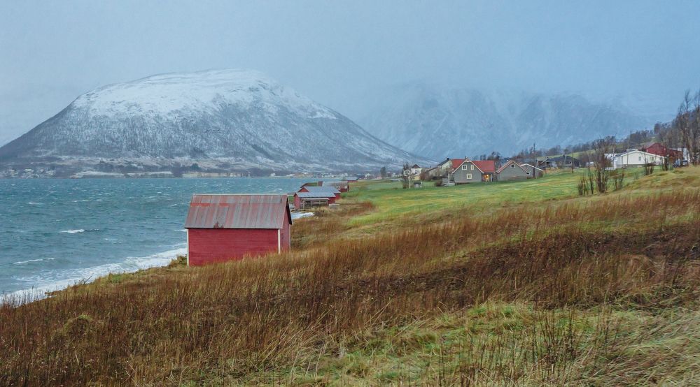 Photograph by Carlos Laverde