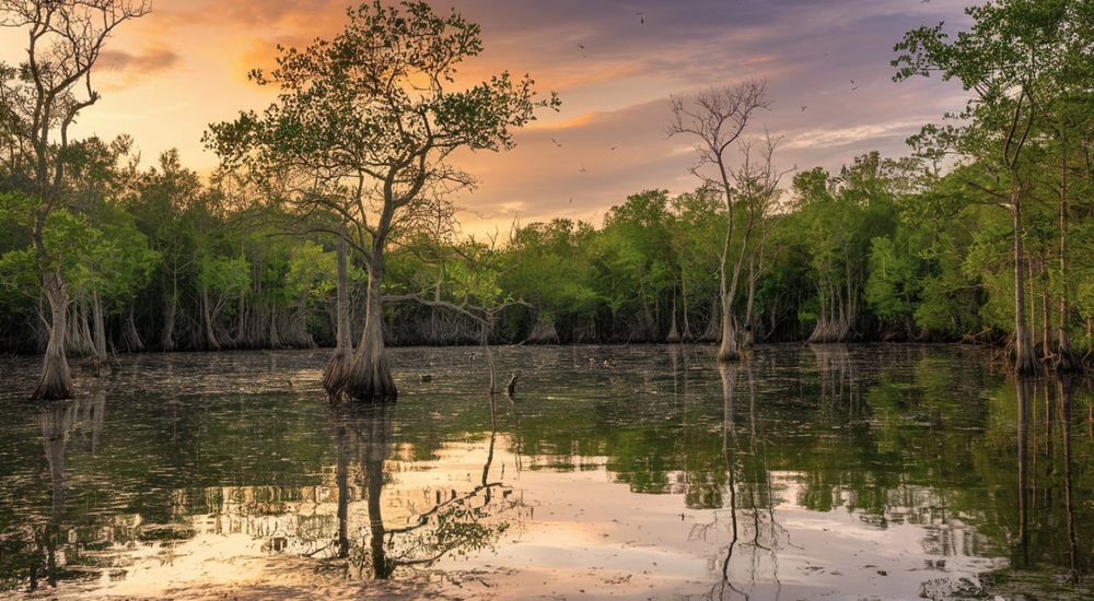 Photograph by Сергей Аверченко