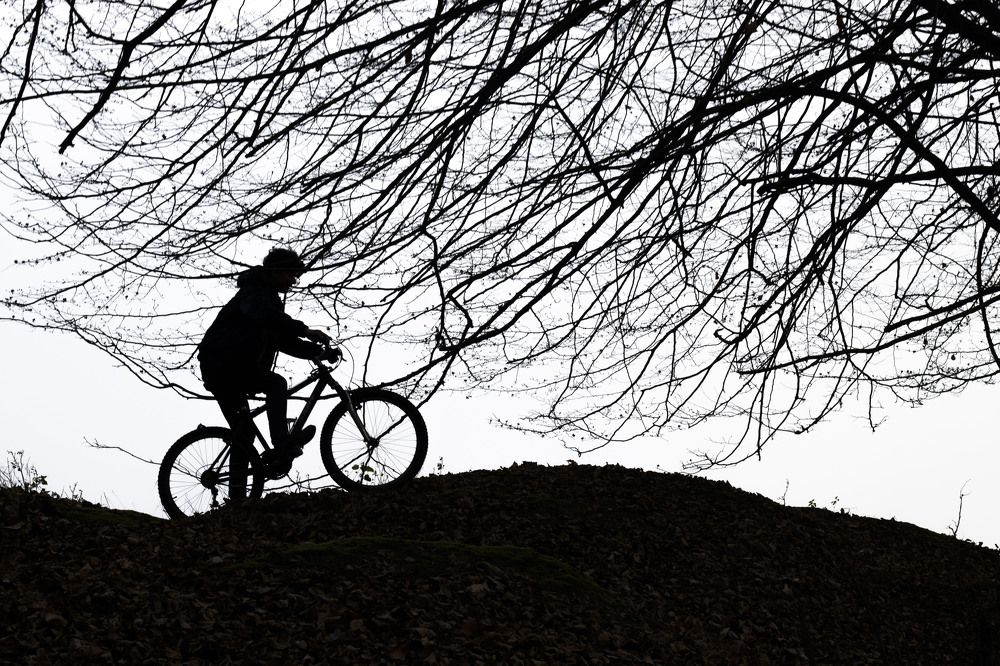 Photograph by Reza Zanganeh