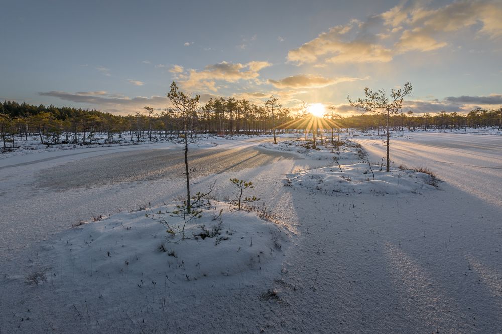 Photograph by Михаил Широбоков