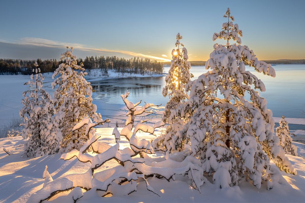 Photograph by Михаил Широбоков