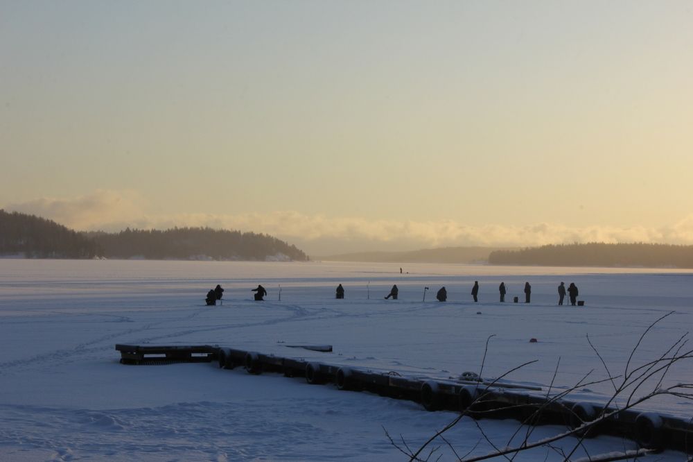 Фотография автора Тори