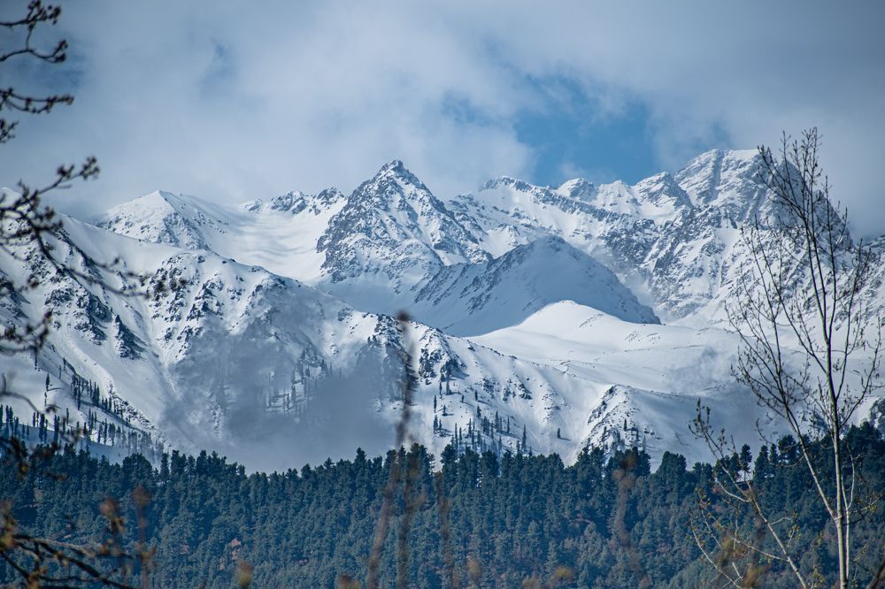 Photograph by Ilhaan Mir