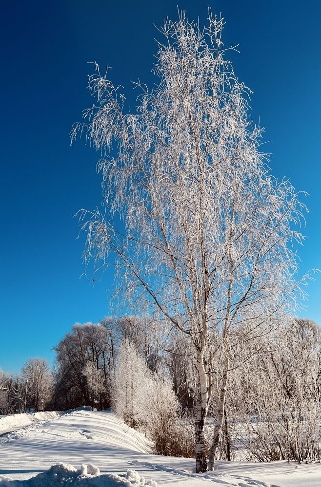 Photograph by Светлана Родионова