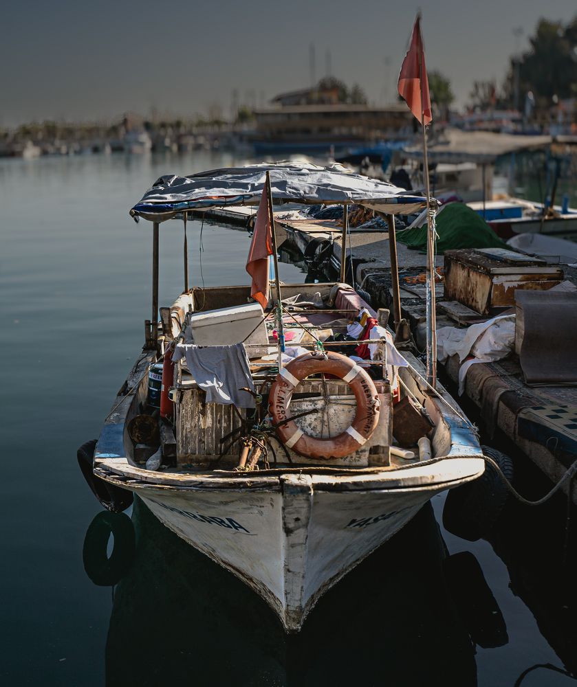 Photograph by Carlos Laverde