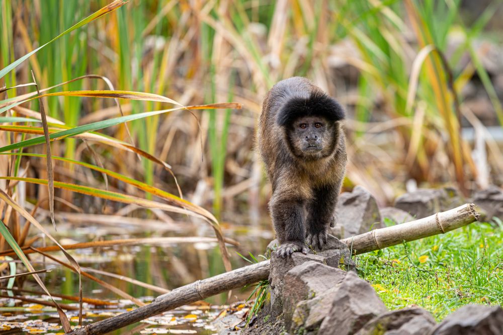 Фотография автора Minja Jovetic