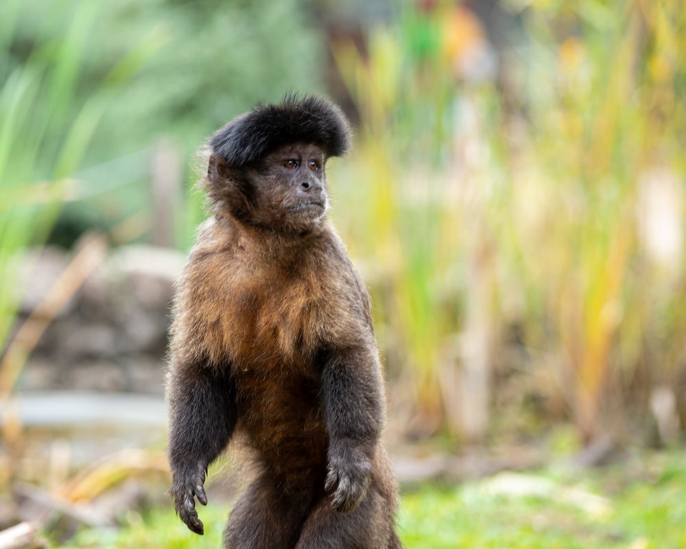 Фотография автора Minja Jovetic