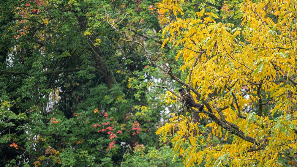 Фотография автора Minja Jovetic