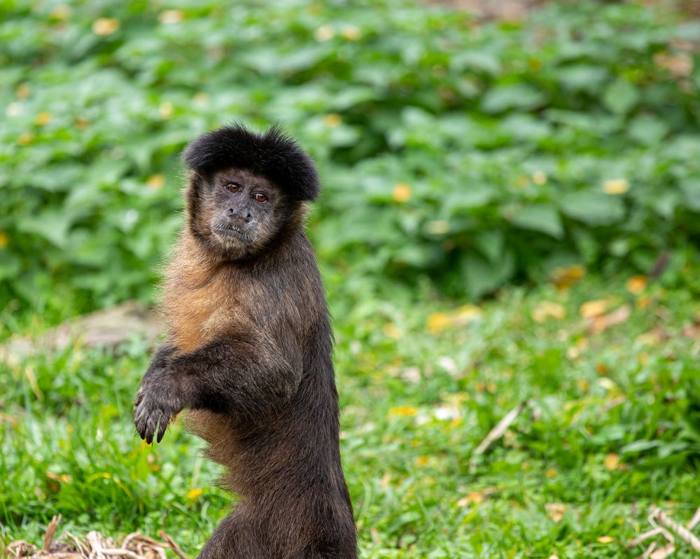 Фотография автора Minja Jovetic