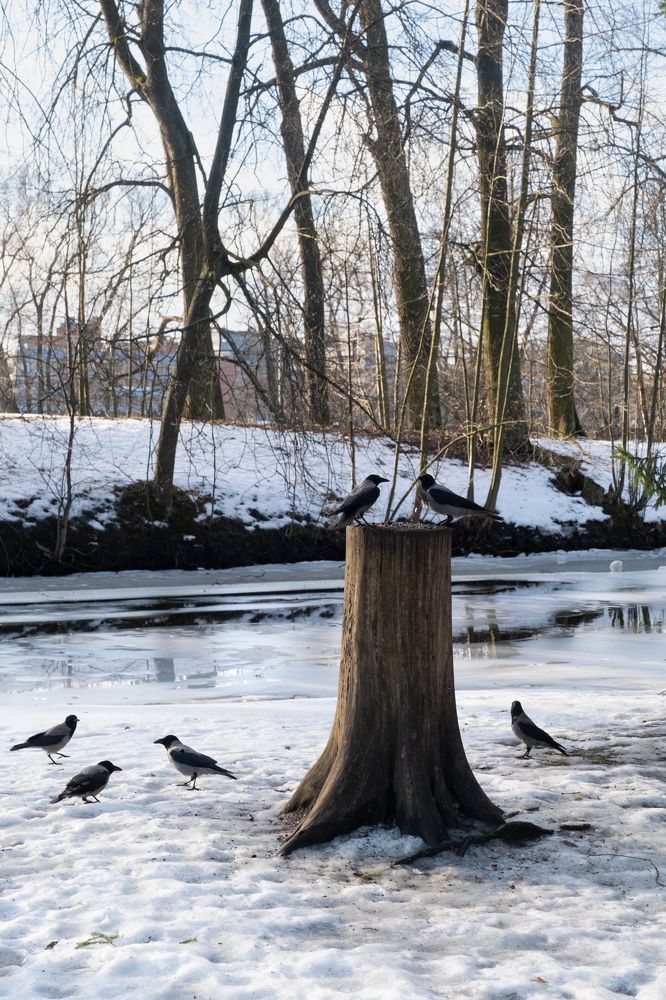 Photograph by Anastasia Vladimirovna