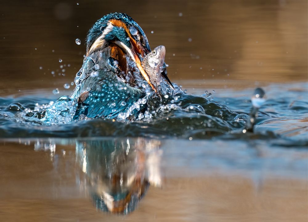 Photograph by Tímea Ambrus