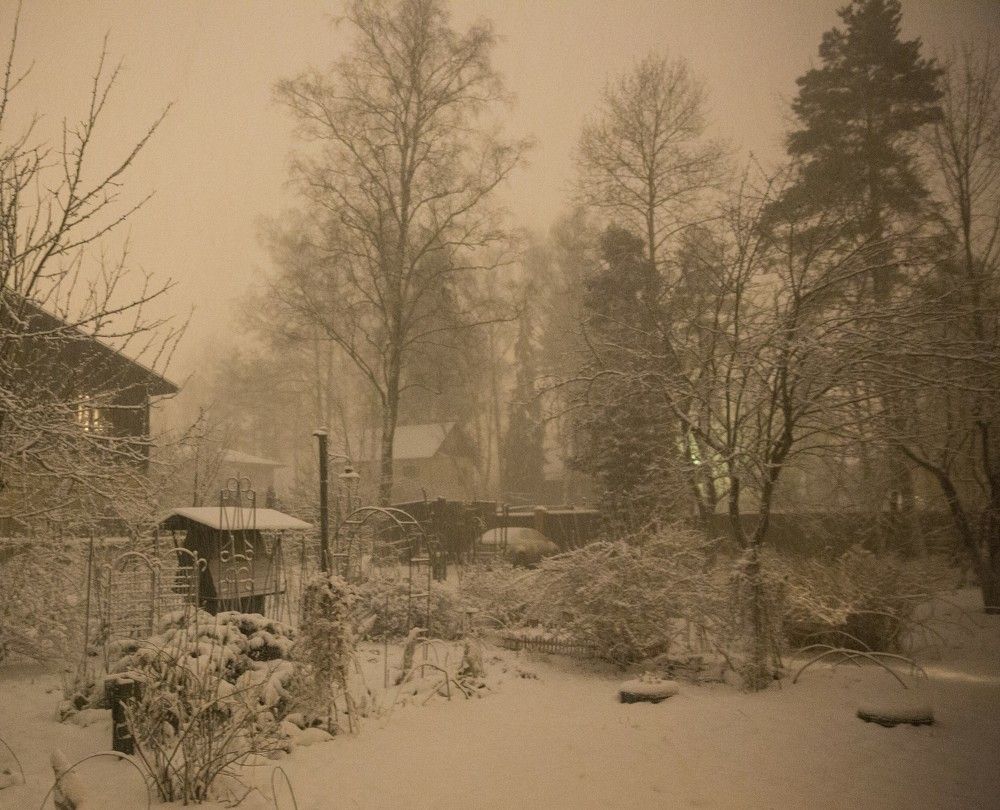 Photograph by Елена Осипова