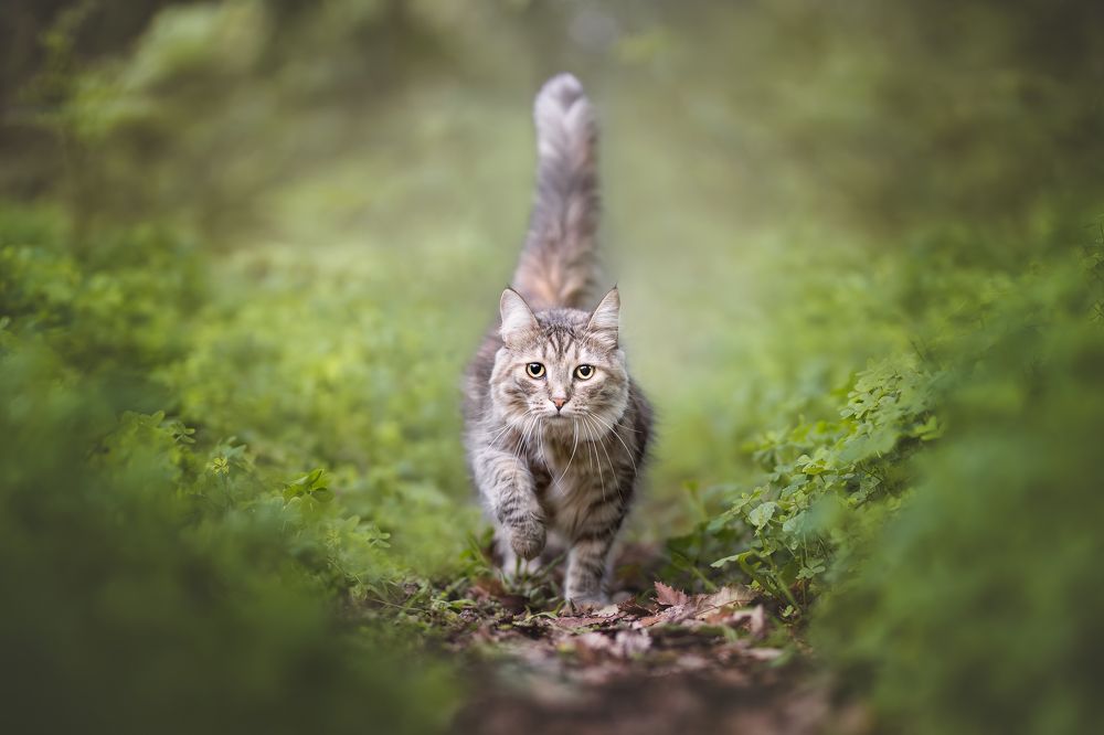 Photograph by Leticia Hernandez