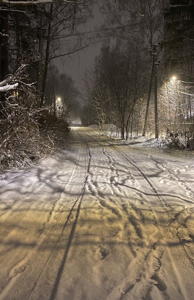 Photograph by Елена Осипова