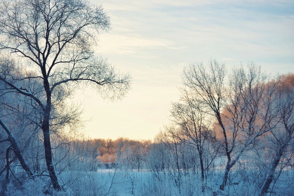 Photograph by Marina Gritchina