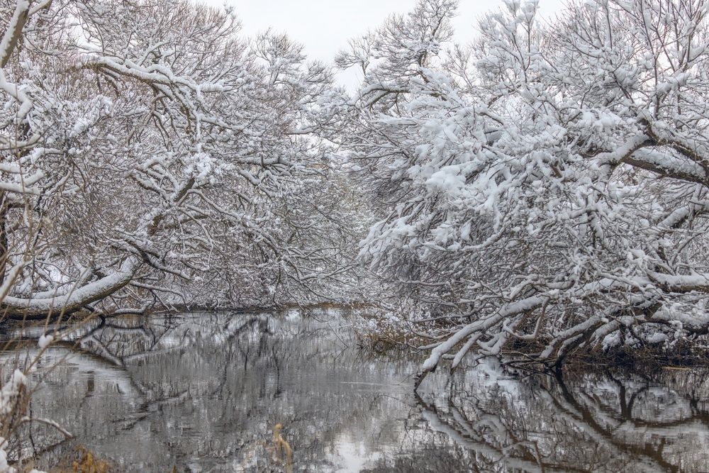 Photograph by Хабаров Сергей