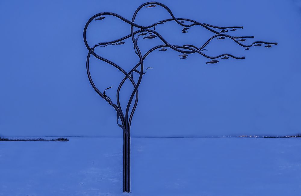 Фотография автора Ольга Виноградова