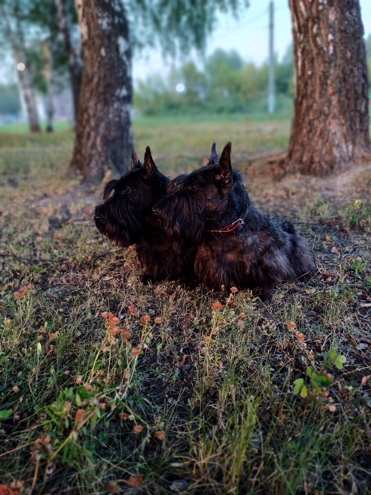 Photograph by Елена Фролова