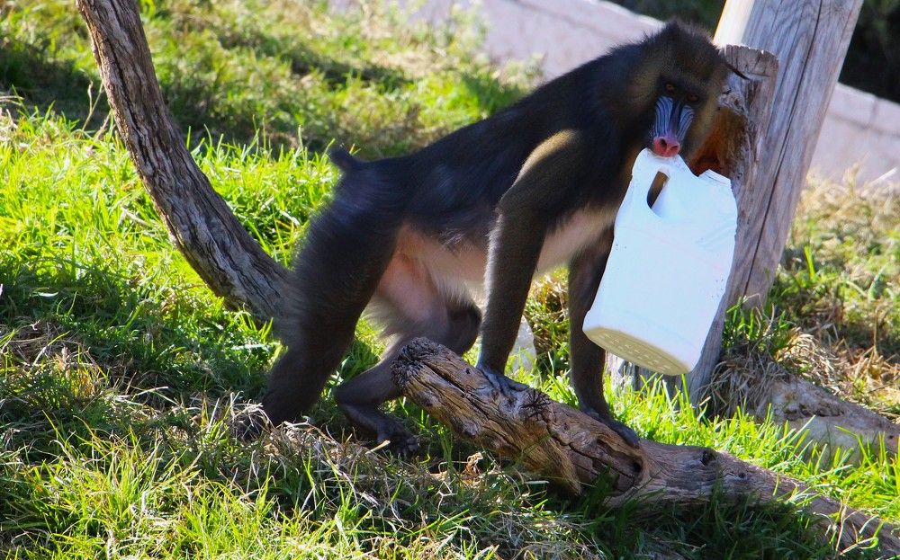 Photograph by Людмила Бутова