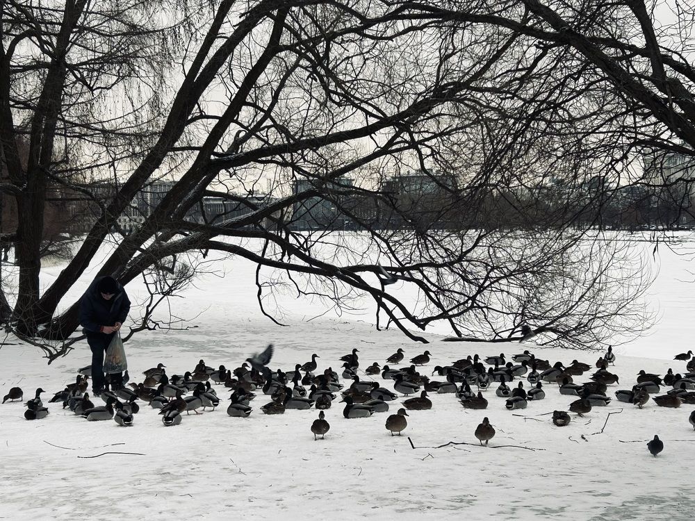 Photograph by Елена Маркова