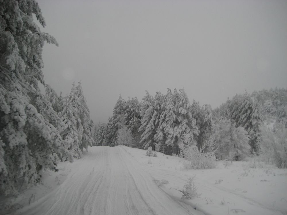 Фотография автора Елена Александрова